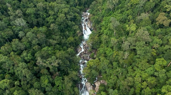 Quelles stratégies pour enseigner l'histoire de la musique jazz dans un cadre éducatif ?
