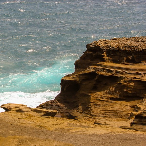 Comment se former pour exceller en tant que spécialiste en agriculture verticale ?