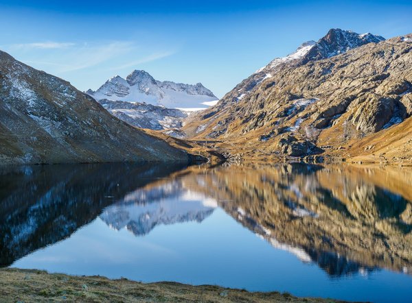 Quelle est la méthode la plus efficace pour lutter contre la prolifération des algues toxiques dans les lacs ?
